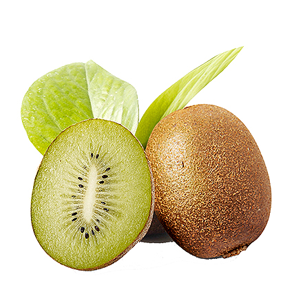 九游娱乐官方网站产品中心六